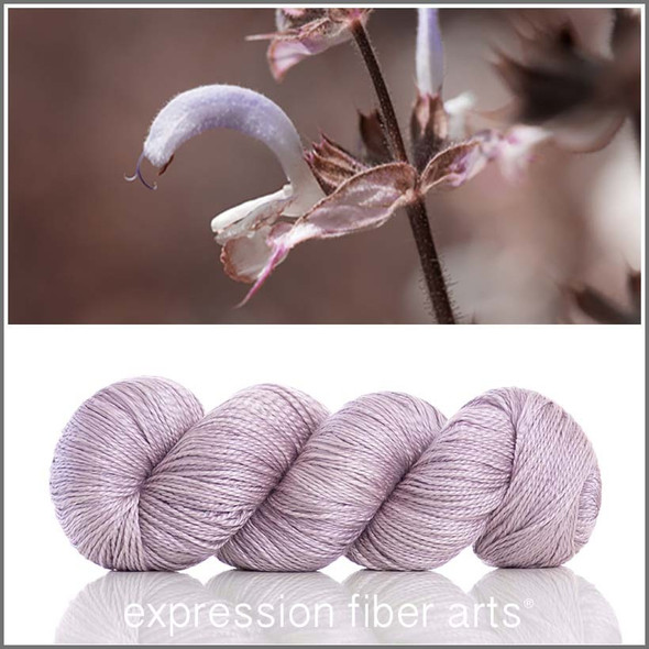 Clary Sage 'WISHGLOW' SPORT