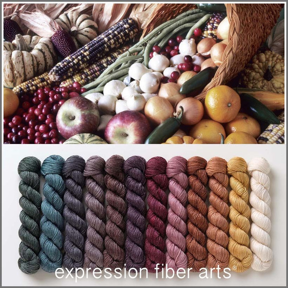 Cornucopia Hues 'LUSTER' SPORT MINI KIT