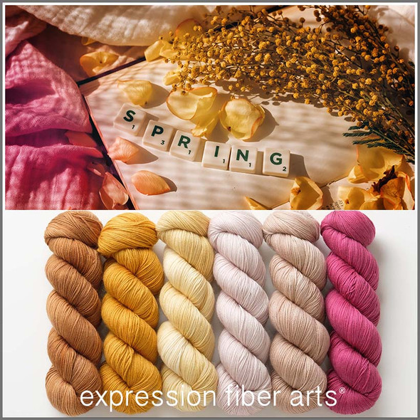 Dreaming of Spring Hues 'SINCERE' SOCK KIT