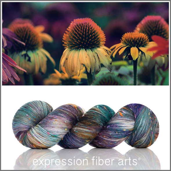 Echinacea 'COSMIC CONFETTI' FINGERING