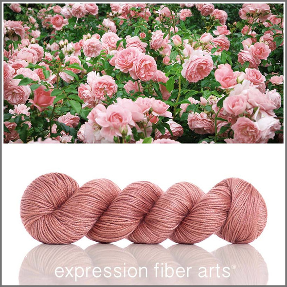English Rose 'BEACON' DK