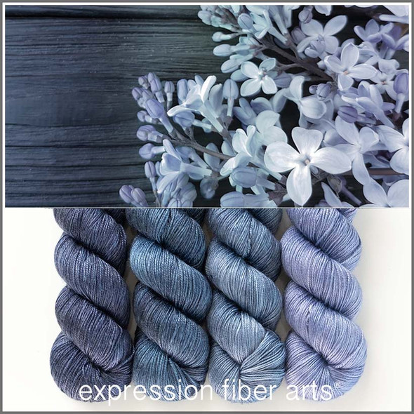 Parisian Blue Hues 'LUSTER' SPORT KIT 