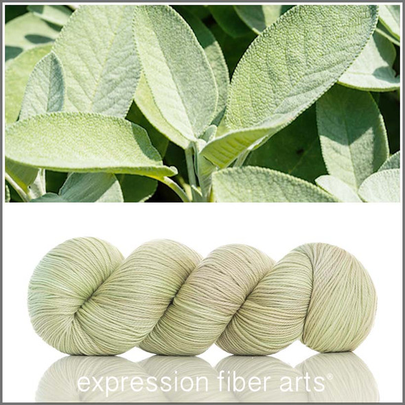 Sage 'SINCERE' SOCK