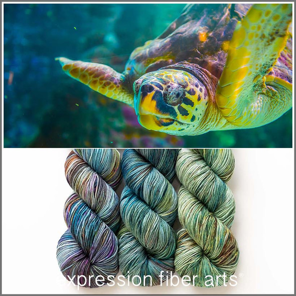 Pre-Order Sea Turtle Hues 'CREMA' SOCK KIT