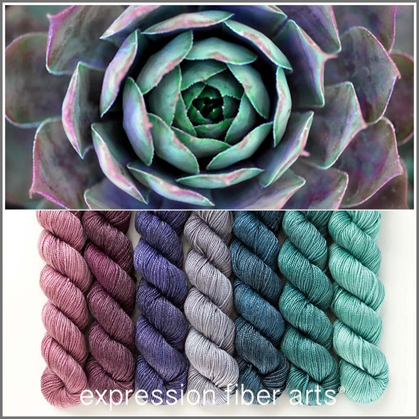 Succulent Hues 'LUSTER' SPORT MINI KIT