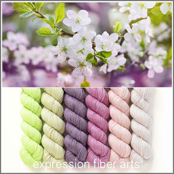 Pre-Order Time to Bloom Hues 'SINCERE' SOCK MINI KIT