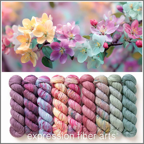Wordless Wonder Hues 'FRONTIER' FINGERING KIT